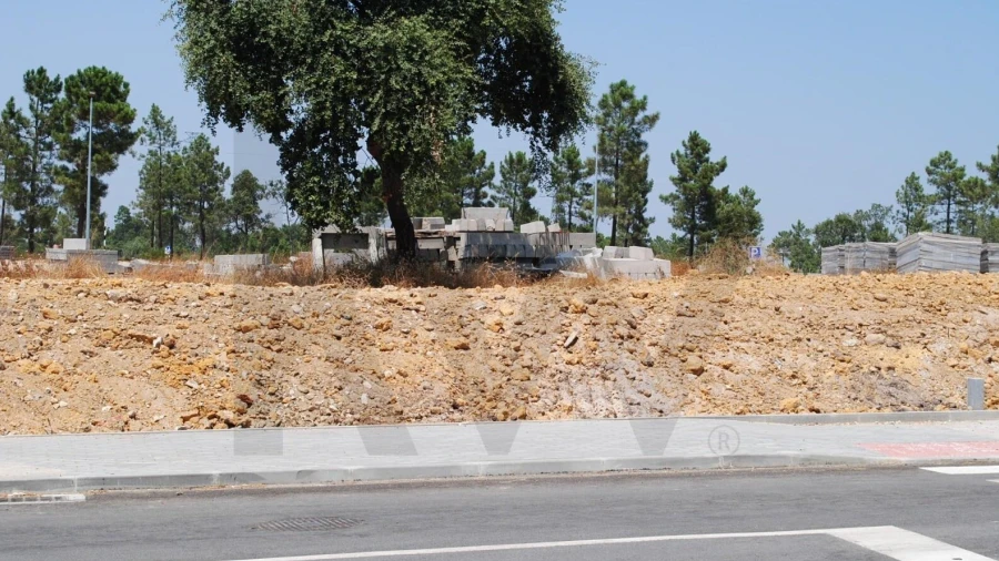 Terreno para Venda em Amora