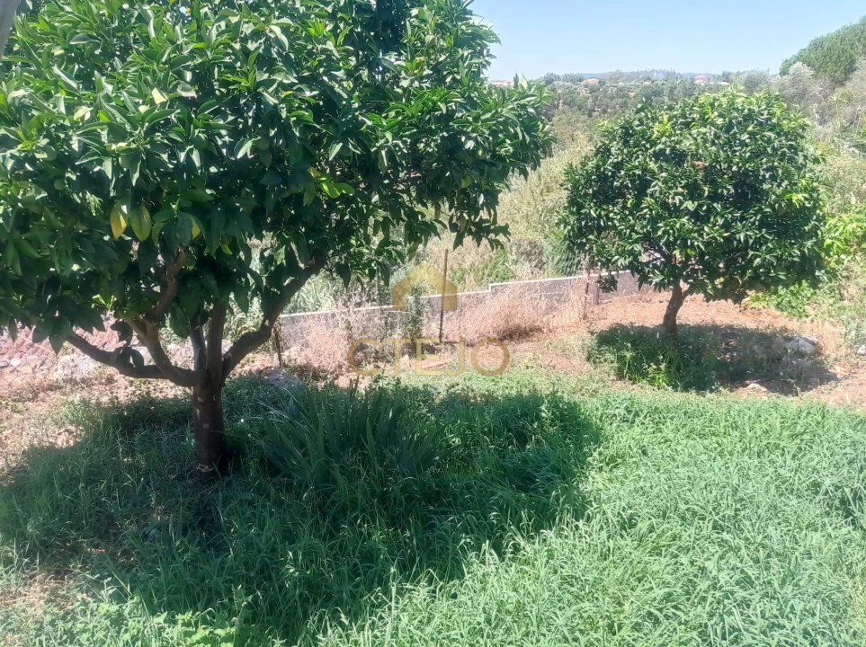 Moradia T3 para Venda em Ortiga Foto 27