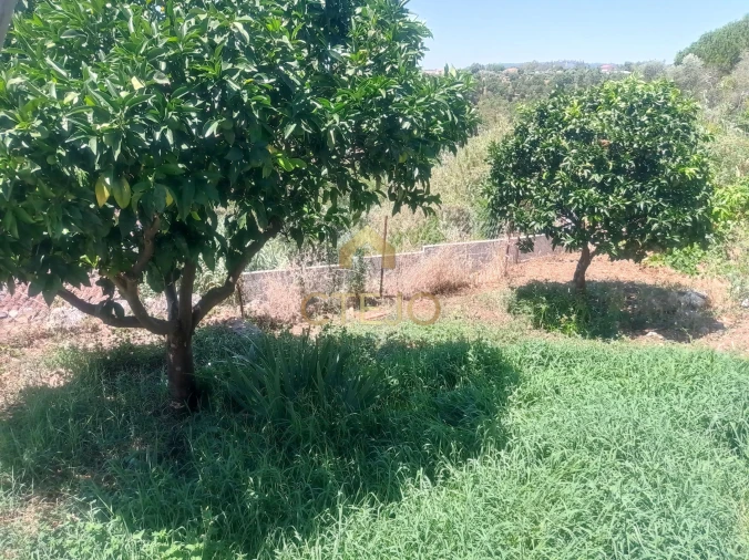 Moradia T3 para Venda em Ortiga Foto 27