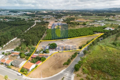 Terreno para Venda em Caldas da Rainha - Santo Onofre e Serra do Bouro