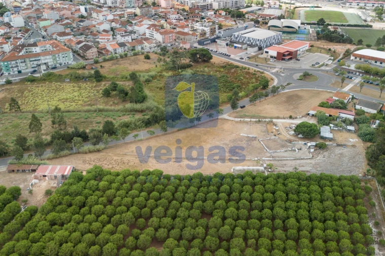 Terreno para Venda em Caldas da Rainha - Santo Onofre e Serra do Bouro Foto 3
