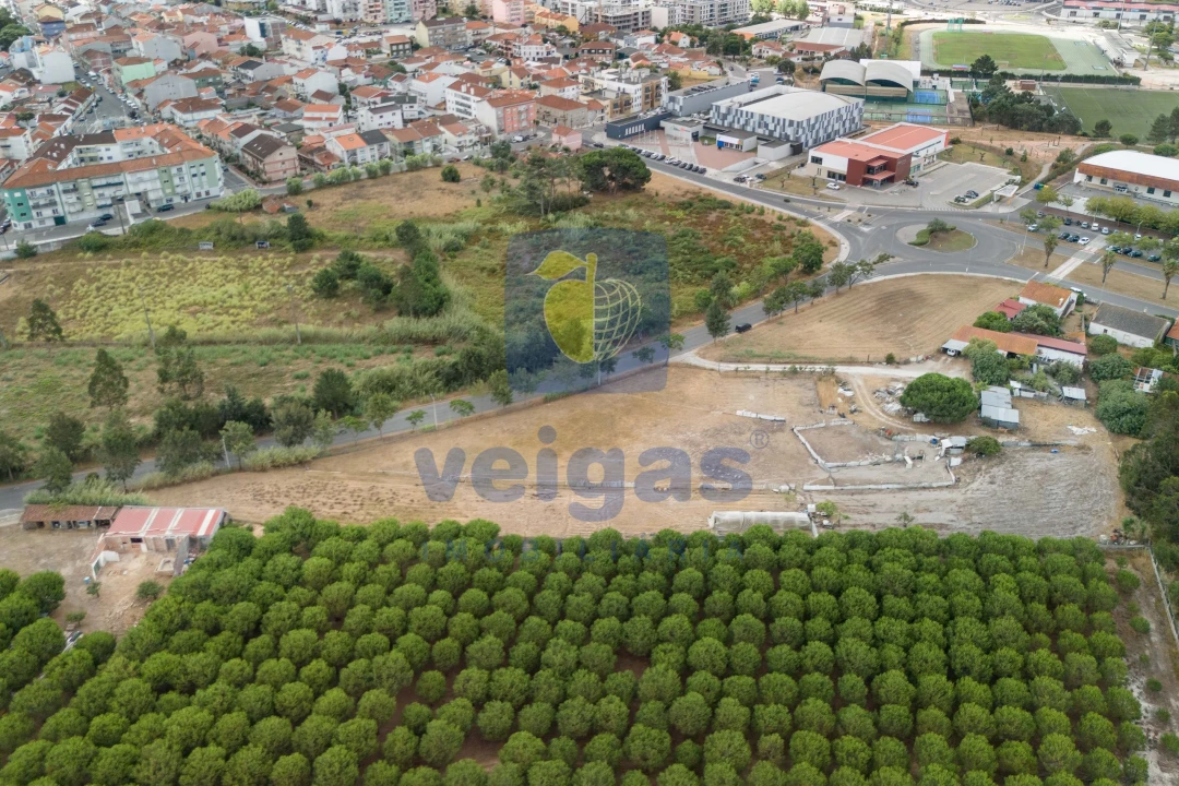 Terreno para Venda em Caldas da Rainha - Santo Onofre e Serra do Bouro Foto 3
