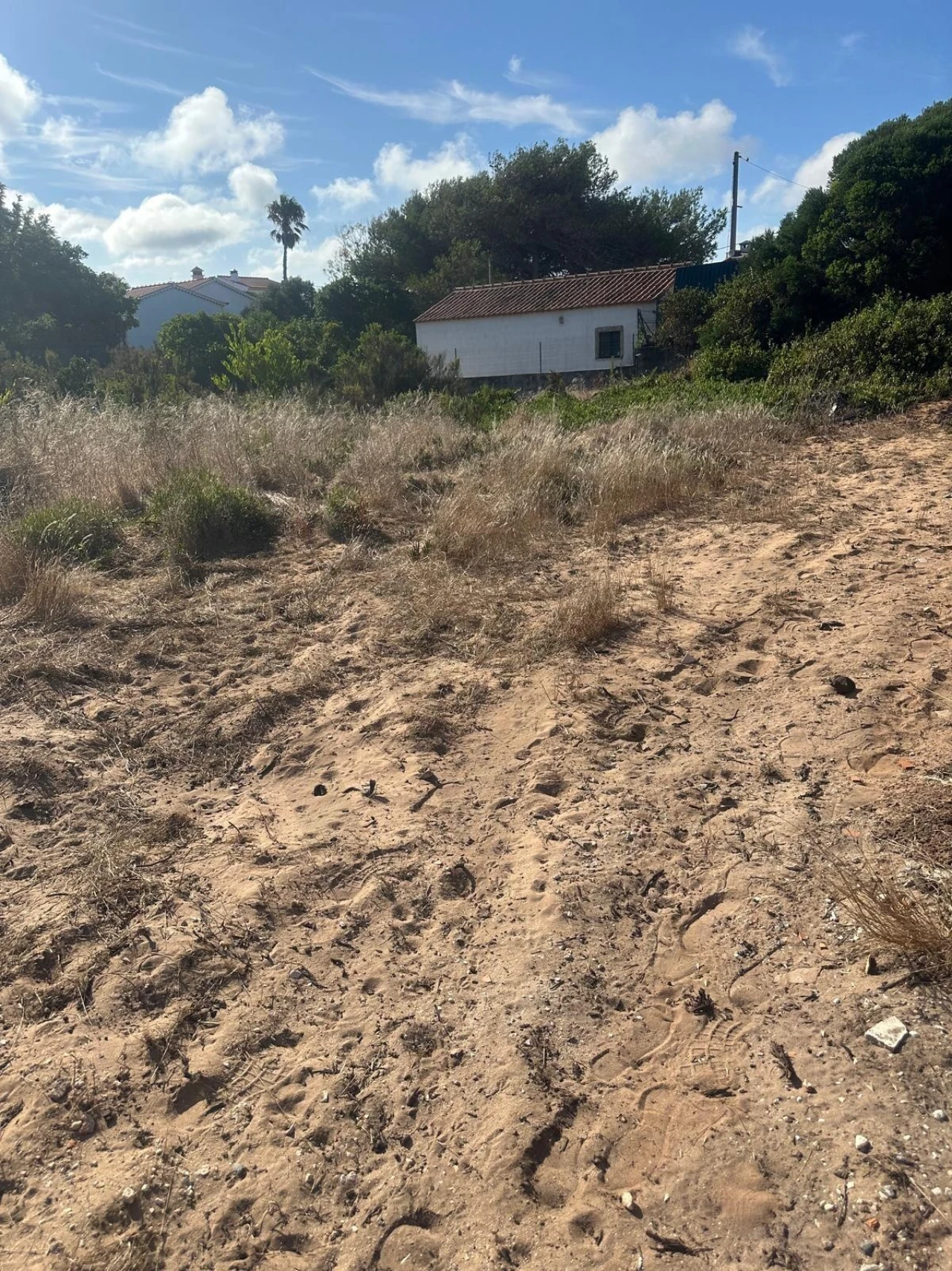 Terreno para Venda em Aljezur Foto 11