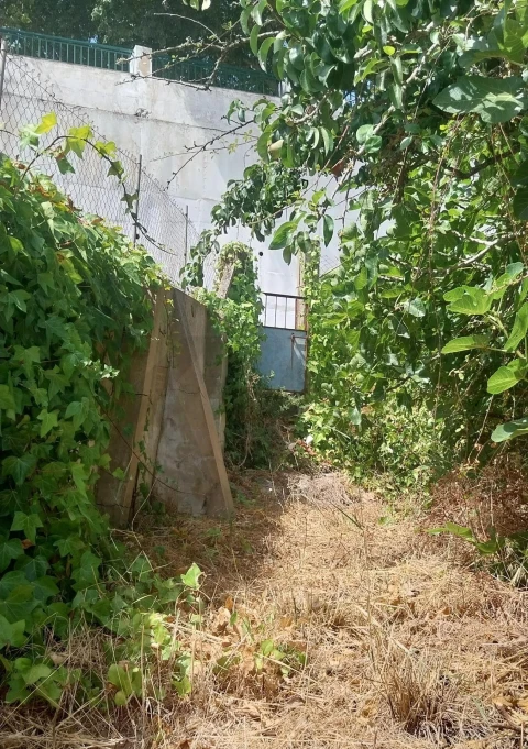 Terreno para Venda em Silves