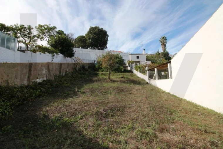 Terreno para Venda em Silves Foto 8