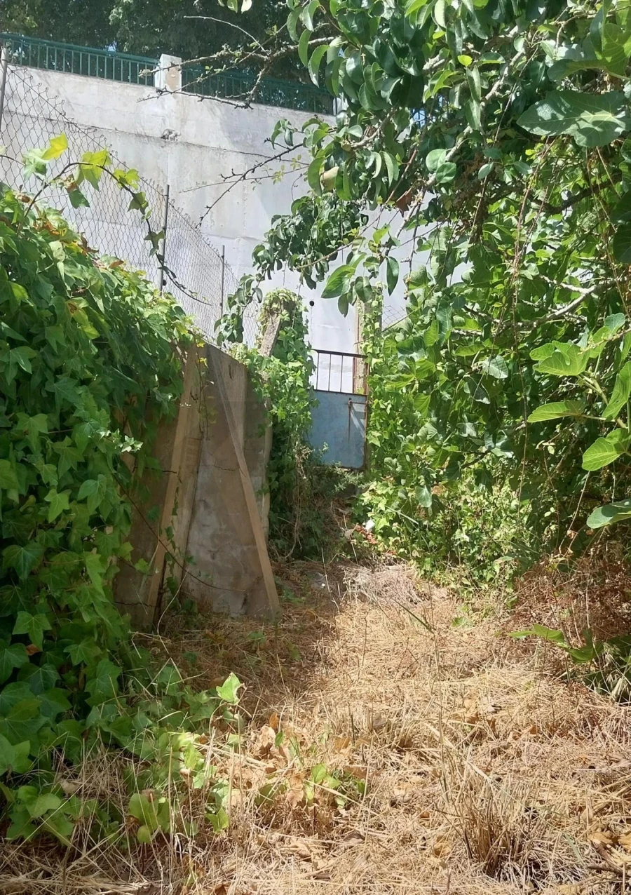 Terreno para Venda em Silves Foto 9