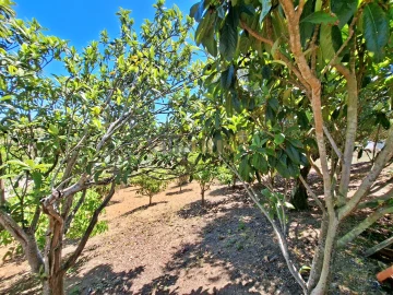 Moradia T2 para Venda em Carregueiros