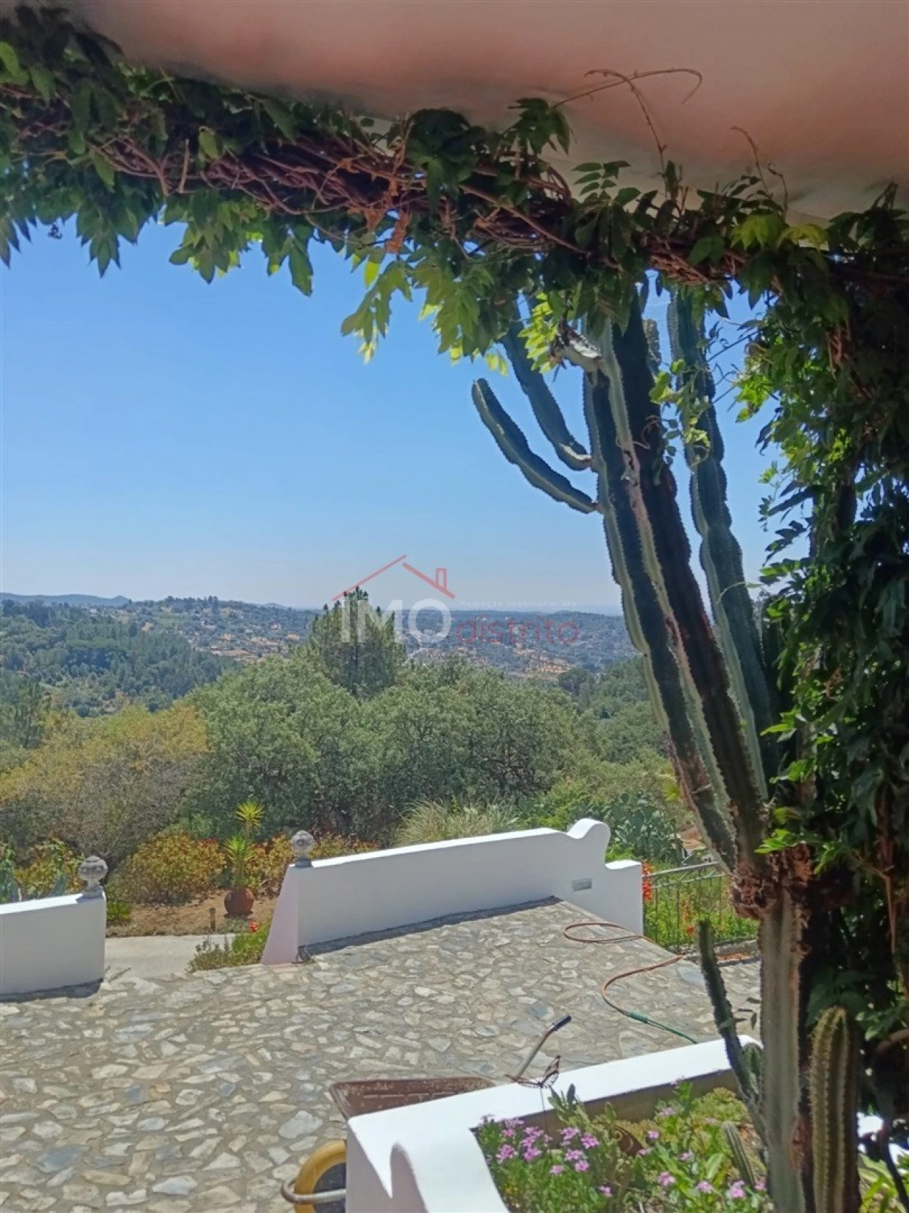 Quinta T4 para Venda em Sé e São Lourenço Foto 25