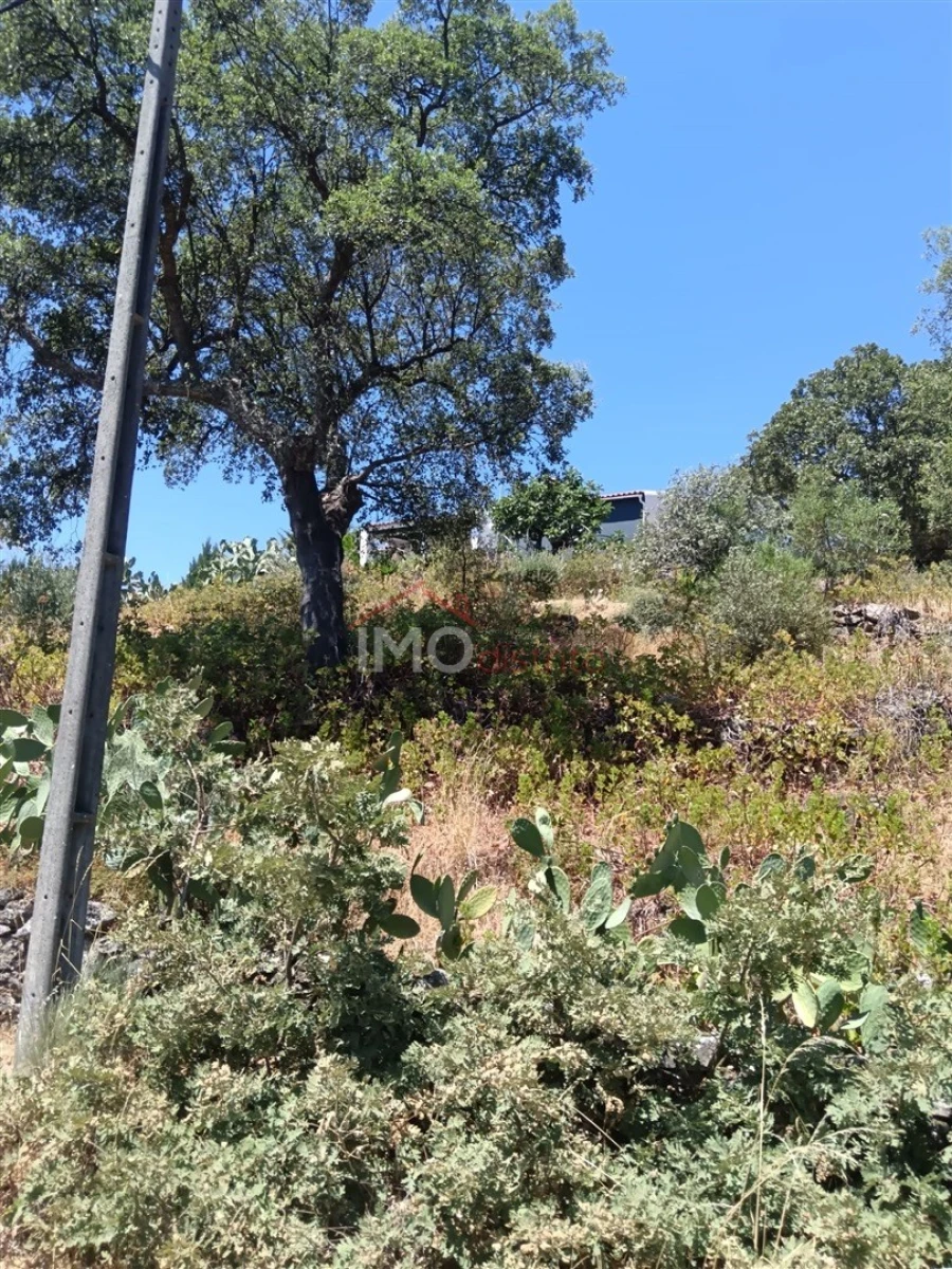 Quinta T4 para Venda em Sé e São Lourenço Foto 23