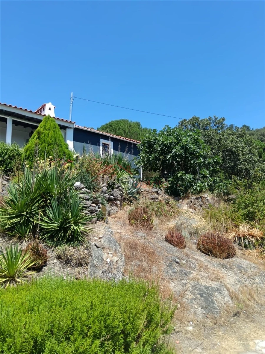Quinta T4 para Venda em Sé e São Lourenço Foto 33