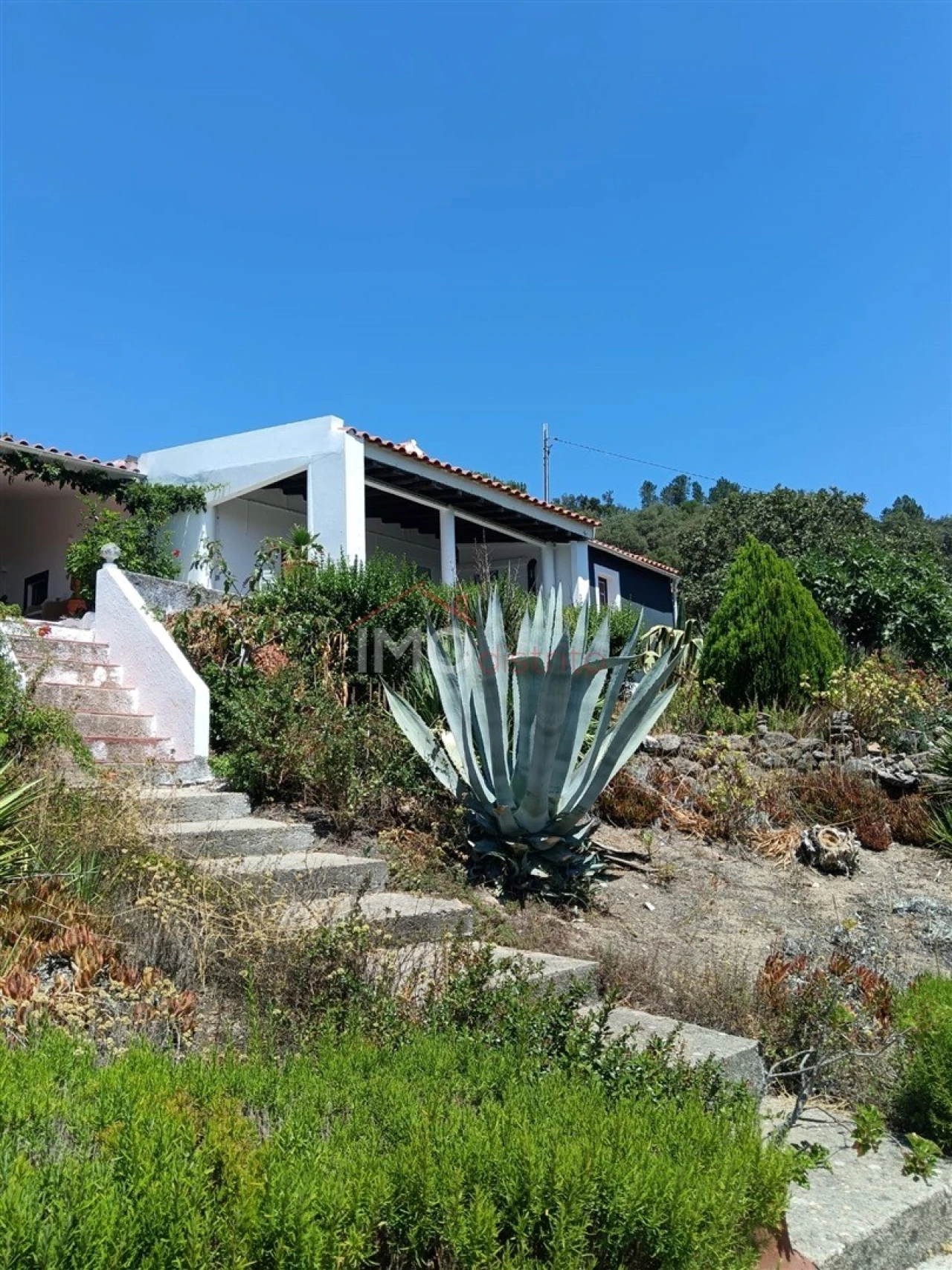 Quinta T4 para Venda em Sé e São Lourenço Foto 34