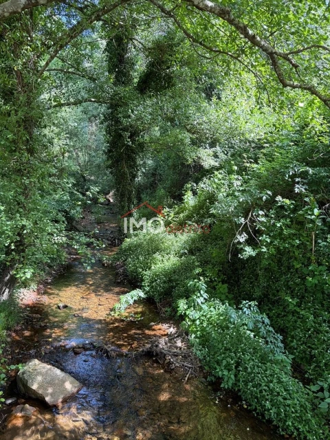 Terreno Agricola ou Rústico para Venda em Alegrete