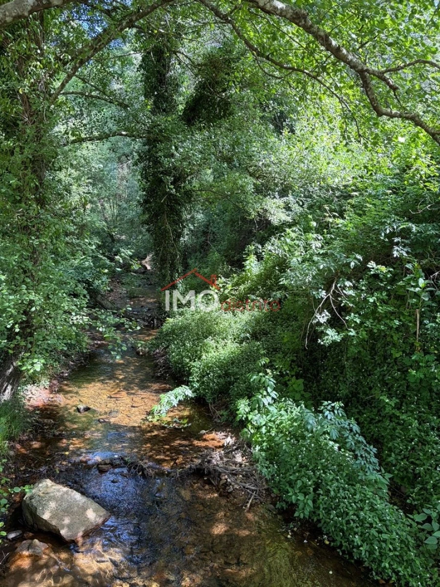 Terreno Agricola ou Rústico para Venda em Alegrete Foto 5
