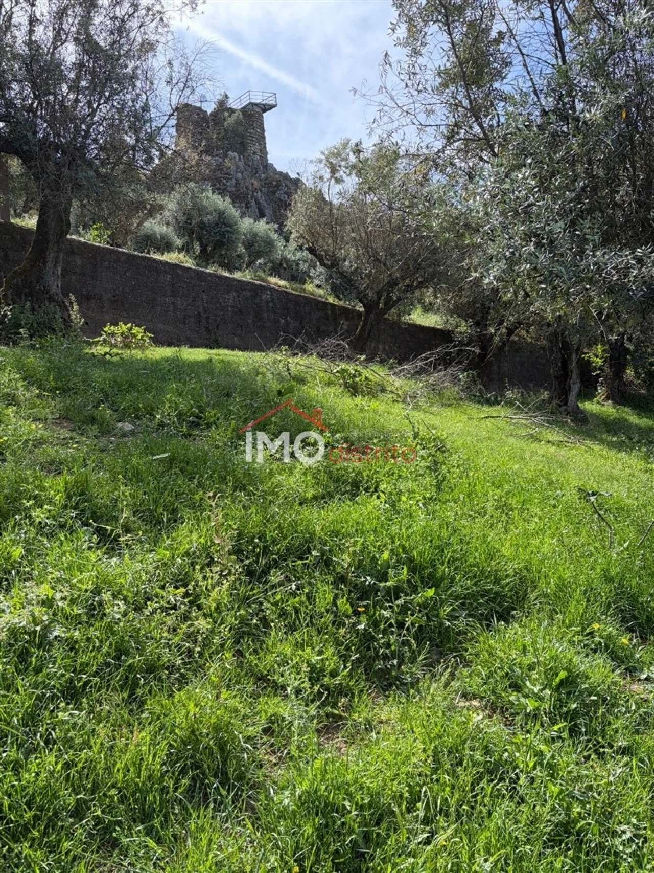 Terreno Agricola ou Rústico para Venda em Alegrete Foto 1