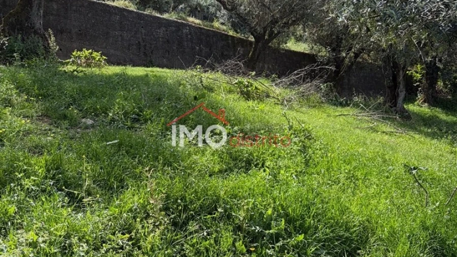 Terreno Agricola ou Rústico para Venda em Alegrete