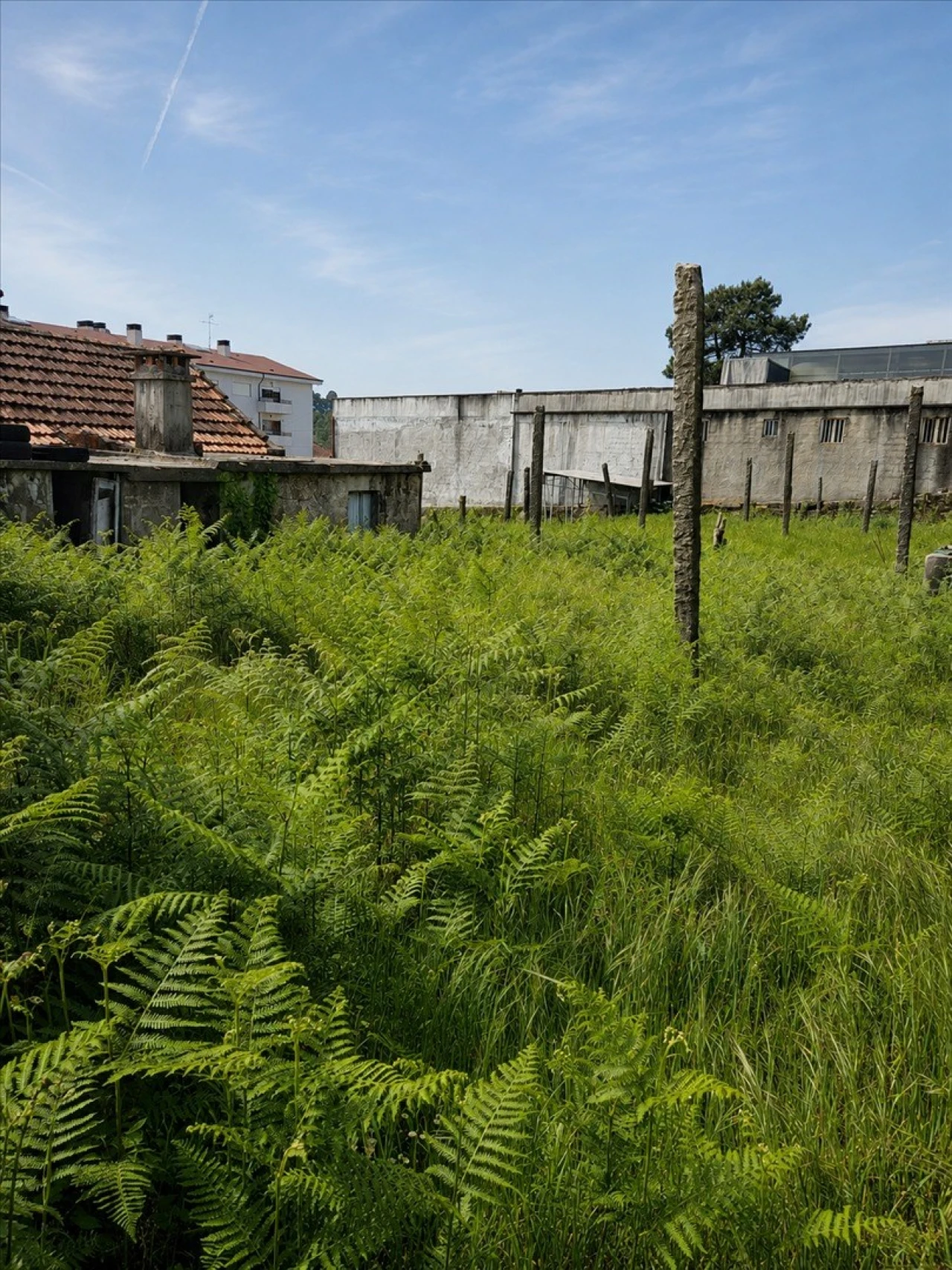 Moradia T3 para Venda em Frazão Arreigada Foto 9