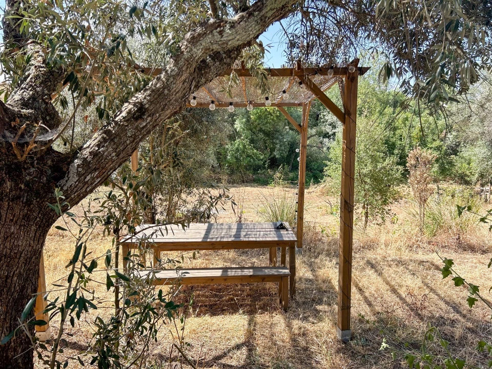 Terreno Agricola ou Rústico para Venda em Medelim Foto 44