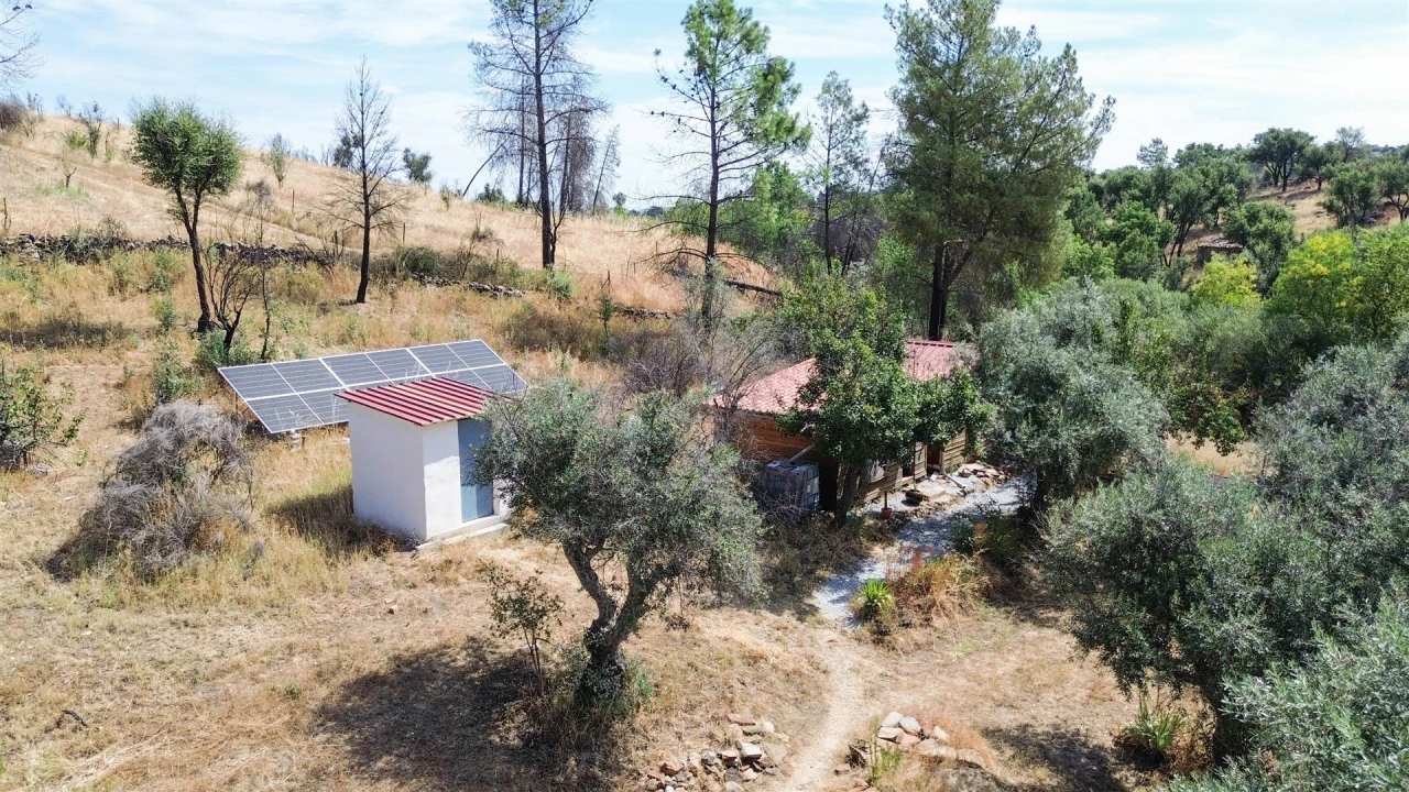 Terreno Agricola ou Rústico para Venda em Medelim Foto 23