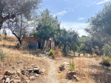 Terreno Agricola ou Rústico para Venda em Medelim