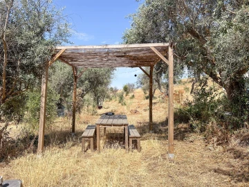 Terreno Agricola ou Rústico para Venda em Medelim