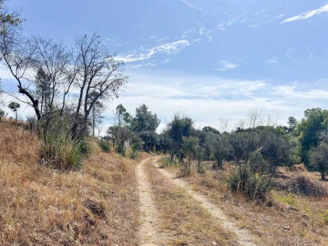 Terreno Agricola ou Rústico para Venda em Medelim