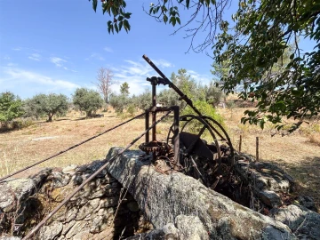 Terreno Agricola ou Rústico para Venda em Medelim