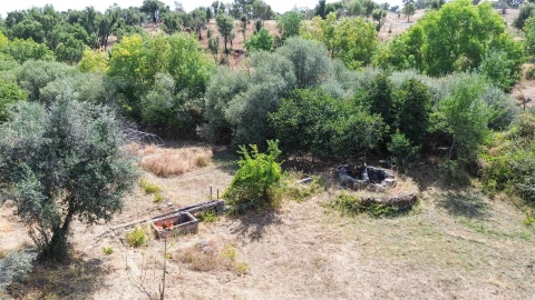 Terreno Agricola ou Rústico para Venda em Medelim