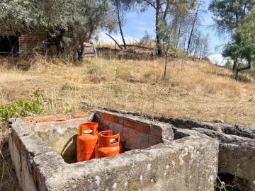 Terreno Agricola ou Rústico para Venda em Medelim