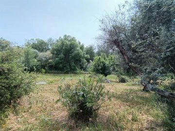 Terreno Agricola ou Rústico para Venda em Medelim