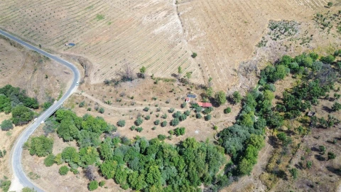 Terreno Agricola ou Rústico para Venda em Medelim