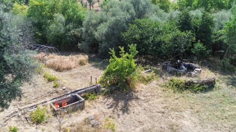 Terreno Agricola ou Rústico para Venda em Medelim