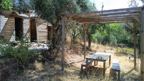 Terreno Agricola ou Rústico para Venda em Medelim