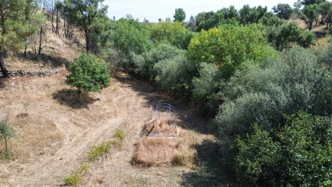 Terreno Agricola ou Rústico para Venda em Medelim