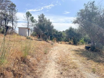 Terreno Agricola ou Rústico para Venda em Medelim