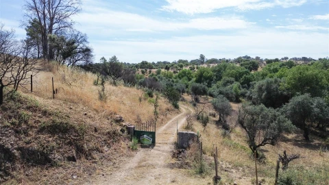 Terreno Agricola ou Rústico para Venda em Medelim