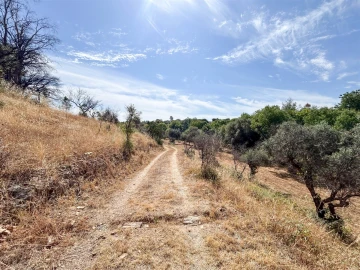 Terreno Agricola ou Rústico para Venda em Medelim