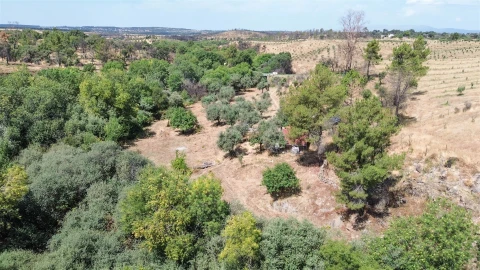 Terreno Agricola ou Rústico para Venda em Medelim