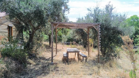 Terreno Agricola ou Rústico para Venda em Medelim