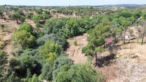 Terreno Agricola ou Rústico para Venda em Medelim