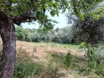 Terreno Agricola ou Rústico para Venda em Medelim