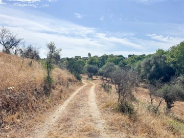 Terreno Agricola ou Rústico para Venda em Medelim