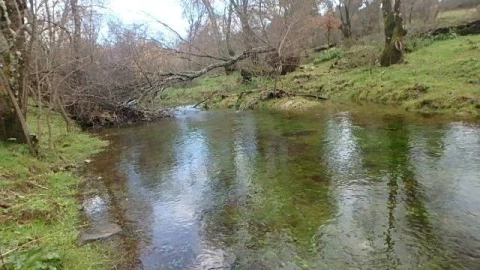 Terreno Agricola ou Rústico para Venda em Medelim