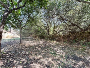 Terreno Agricola ou Rústico para Venda em Medelim