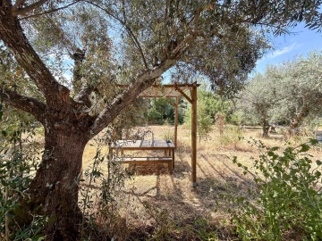 Terreno Agricola ou Rústico para Venda em Medelim