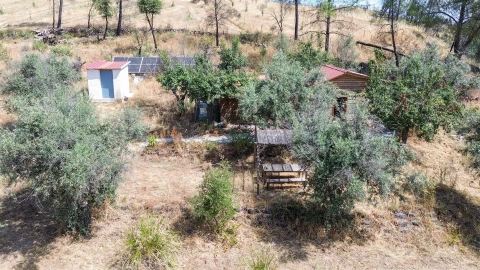 Terreno Agricola ou Rústico para Venda em Medelim