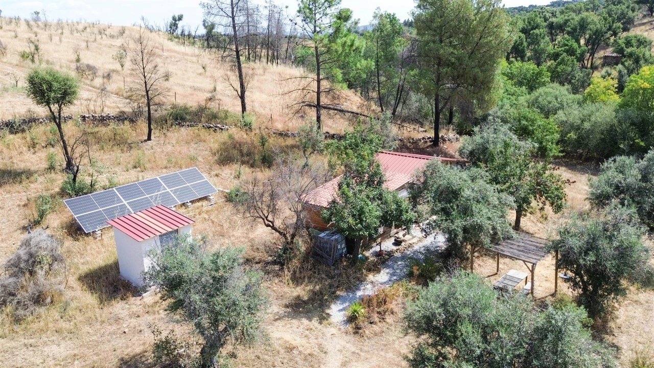 Terreno Agricola ou Rústico para Venda em Medelim Foto 25