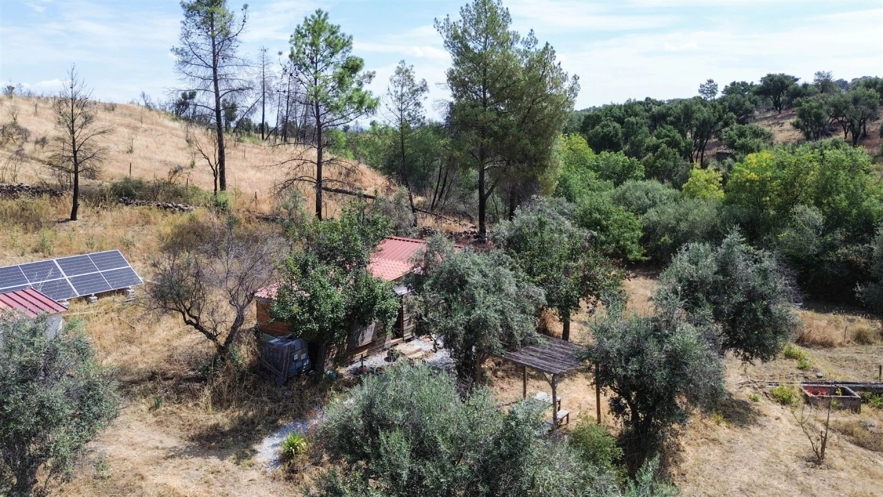 Terreno Agricola ou Rústico para Venda em Medelim Foto 31