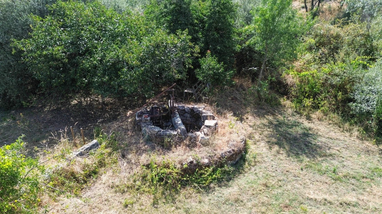 Terreno Agricola ou Rústico para Venda em Medelim Foto 17