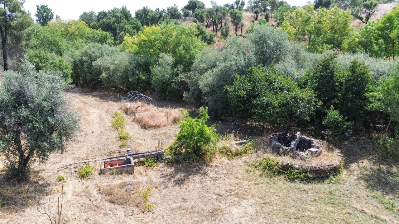Terreno Agricola ou Rústico para Venda em Medelim Foto 27