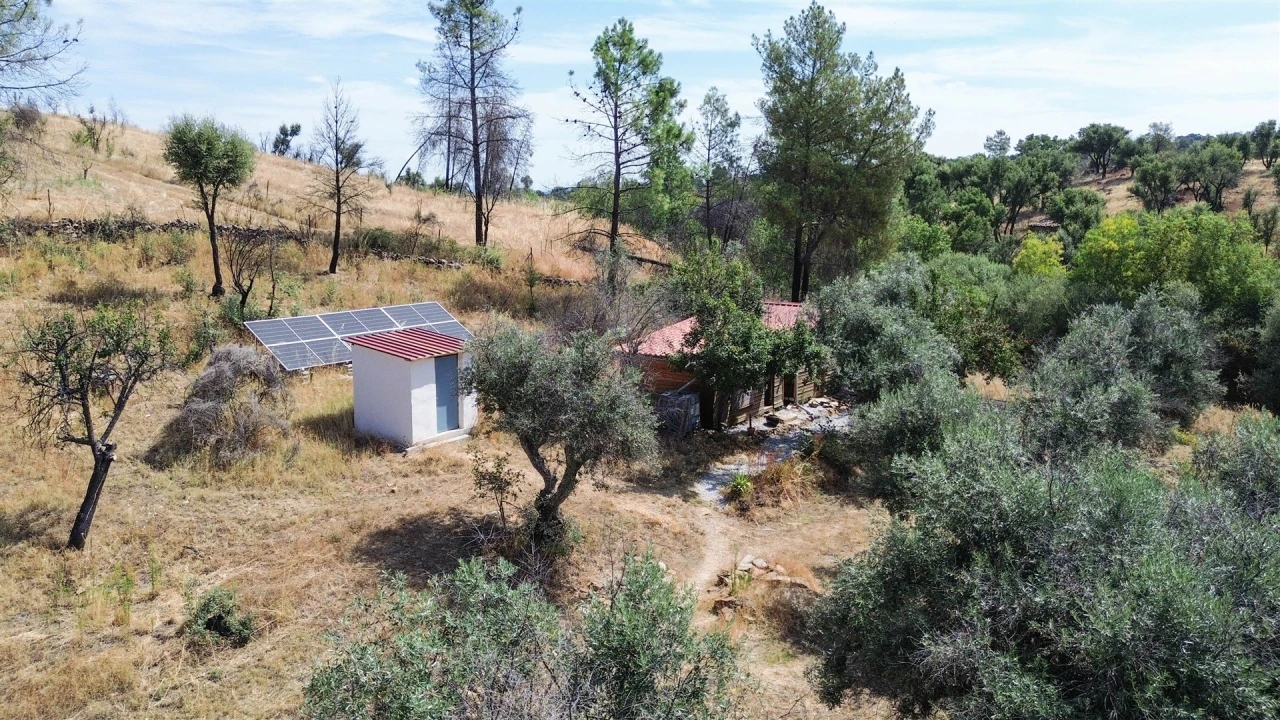 Terreno Agricola ou Rústico para Venda em Medelim Foto 22